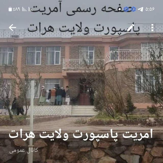 آمریت پاسپورت ولایت هرات