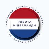 Робота Нідерланди🇳🇱