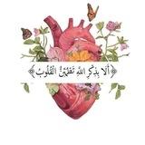 ليَطْمَئِنَّ قَلْبُكَ💚🫀