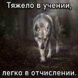 Отчислено Гимназия 227