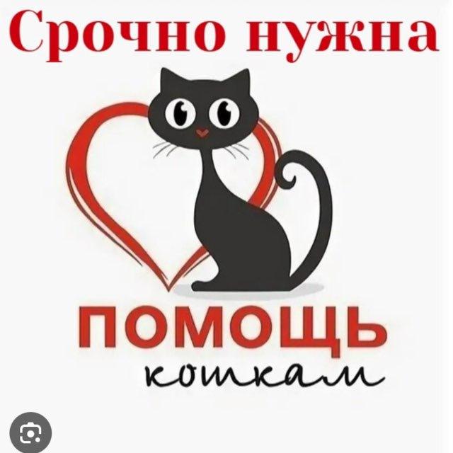 ФОНД ПУШИСТЫЙ