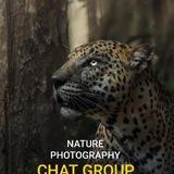 Relax With Photography 🍃✨ Chat