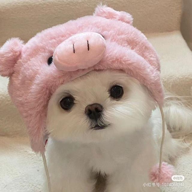 CÁI ĐỒ ĐÁNG YÊU ☺️