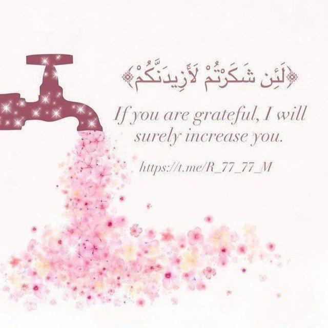 ﴿ لَئِن شَكَرْتُمْ لَأَزِيدَنَّكُمْ ۖ ﴾