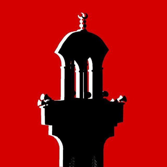 جـبـشــيت | jibchit