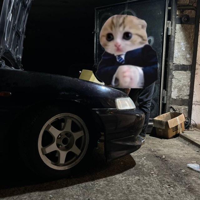 Гнилая труха