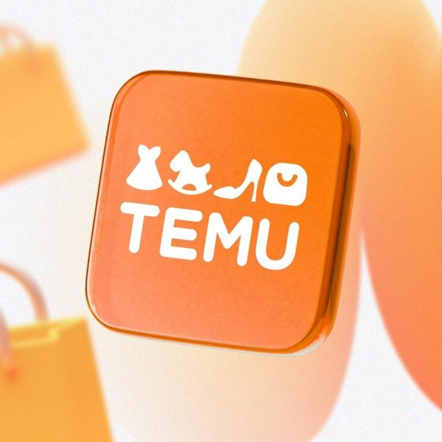 TEMU Finds