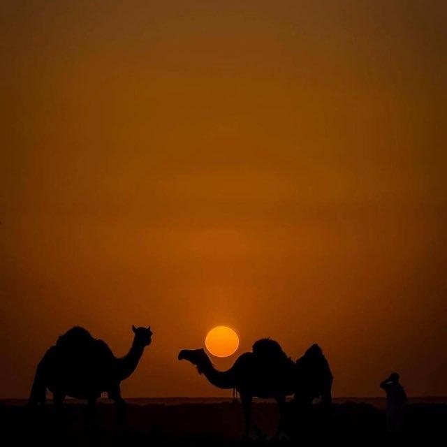 ِ