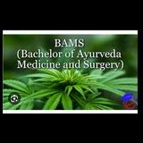 BAMS STUDY HUB🩺