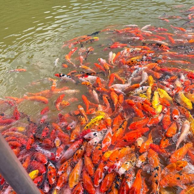 Tuyển dụng uy tín