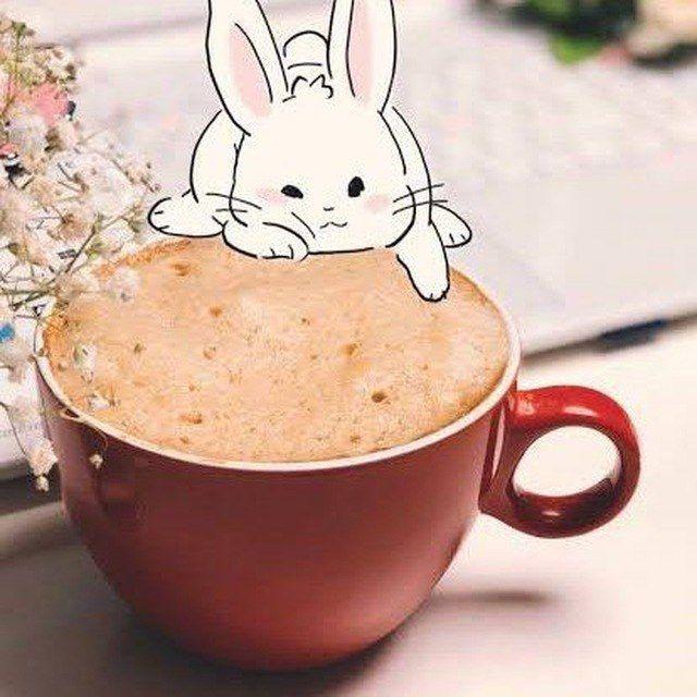 صور صباح ومساء الخير