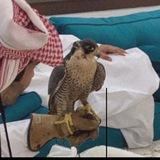 سرابَ.