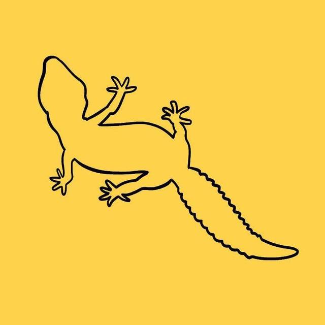 TheARKGeckos
