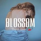 ПЕРЕХОДНИК BLOSSOM🍒 Курсы | Чек-листы