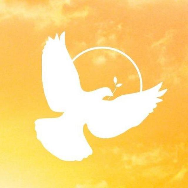 Dawn of Peace