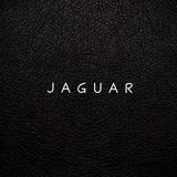 J A G U A R