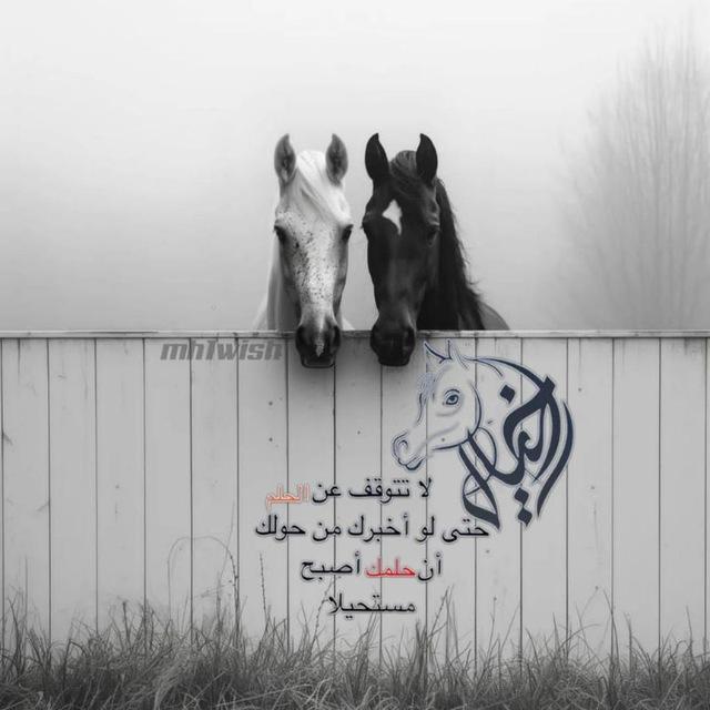 خيـل 𓃗