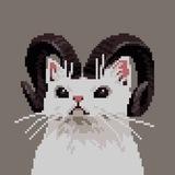 Pixism