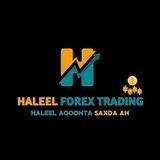 HALEEL FOREX TRADING