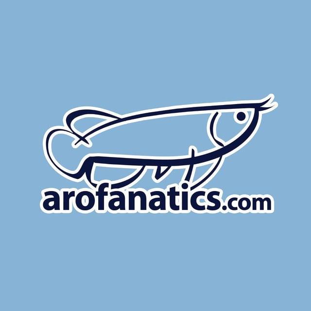 Arofanatics 2.0: Discussion Buy Sell Trade Arowana Fish Pets Aquarium Livestock SG