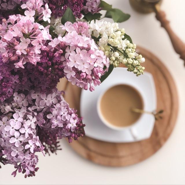 🌸BLOOMING HOME 🌸