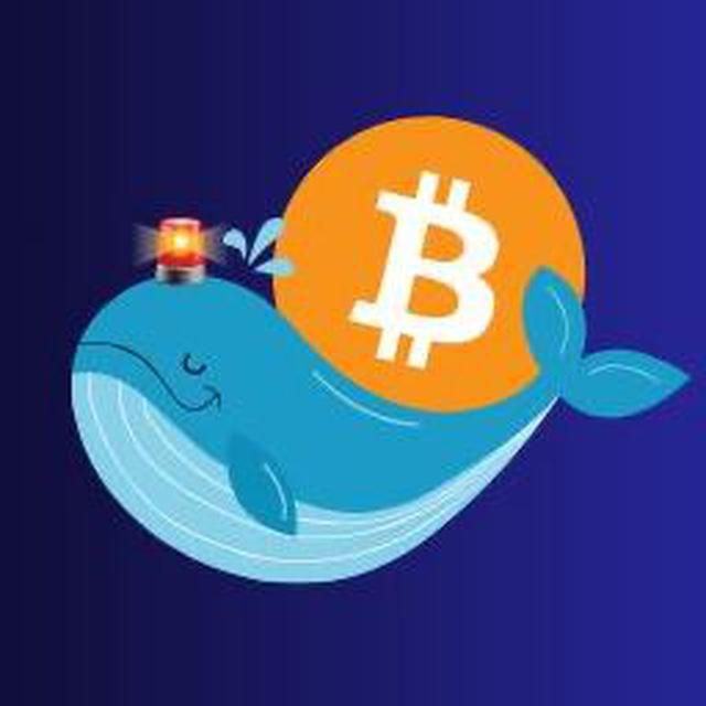 Crypto Whale Updates