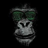 پروکسی رایگان/Free Proxy