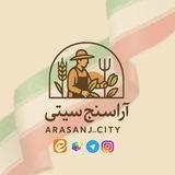 Arasanj_city