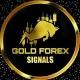 GOLD PRO TRADER