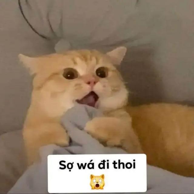 CakhiaTV- Bộc tộc họ Giàng