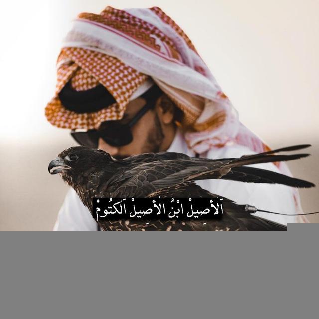 اَلْأَصِيلْ ابْنُ الْأَصِيلْ اَلْكَتُومْ