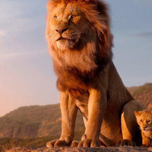 Le Cercle Des Lions 974