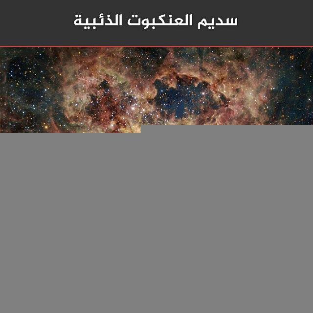 🎬الاعجاز العلمي في القران والسنه
