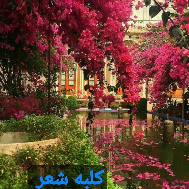 ڪـــــلبه شـــــــــعر
