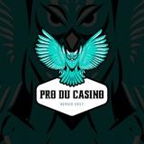 PRO DU CASINO 🎰