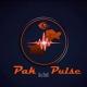 PakPulse Intel