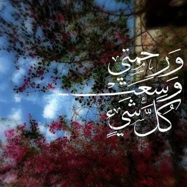 رفقاء القرءان🪐