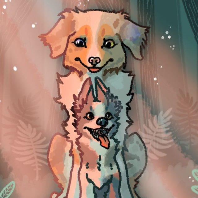 🪶Bailey the dog boss 🪶