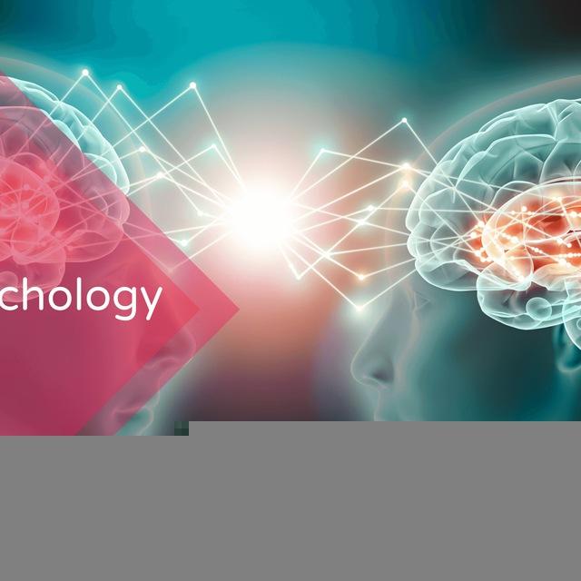 M.Mashaly Parapsychology Knowlegeأحمد مشالي (محب الكمال)