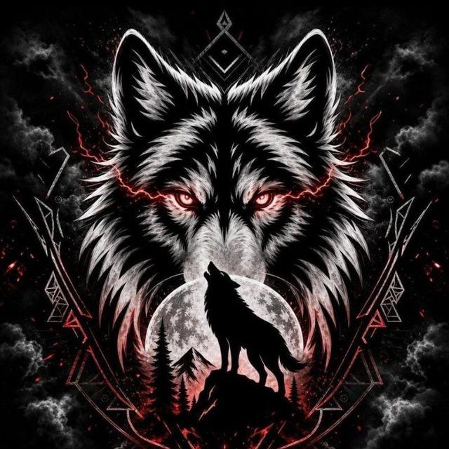 AMAZINGWOLF🐺
