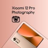 Xiaomi 12 Photography | Global
