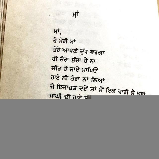 Punjabi Quotes