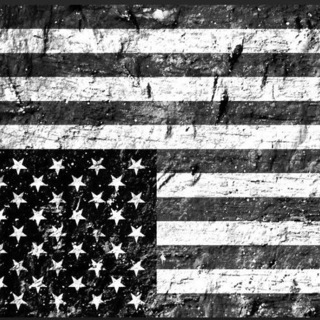 meme freedom