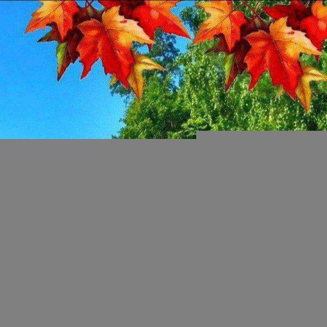 Южный Барнаул🔊