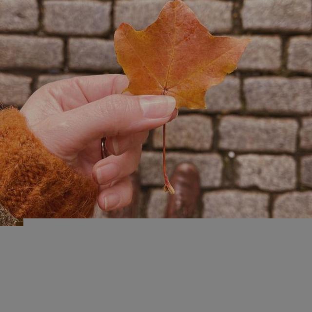 أيـلول🍁