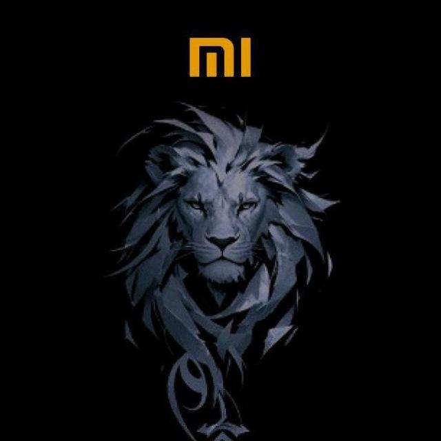 HUATEAM XIAOMI ACADEMY
