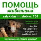 salskdarim_dobro_161
