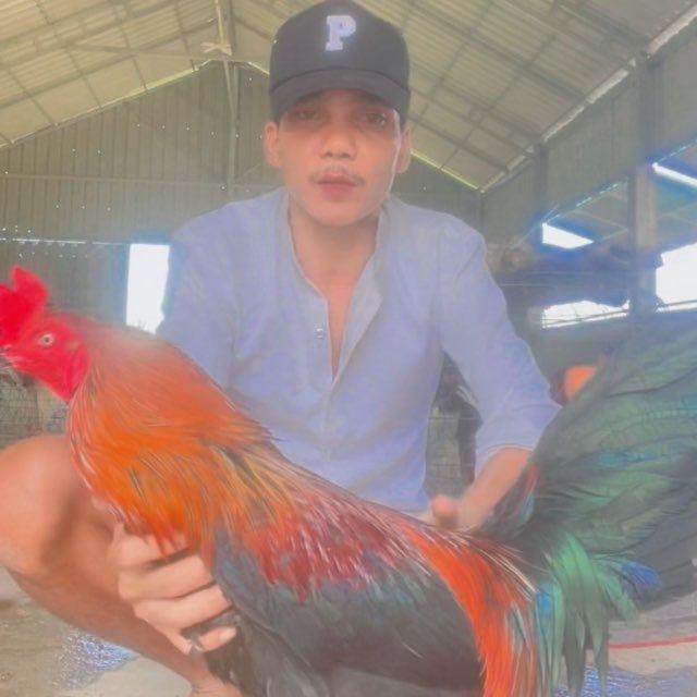 បងតារ៉ា សង្វៀនV168K88DK666V88