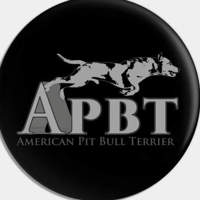 APBT (GAMEDOGS)