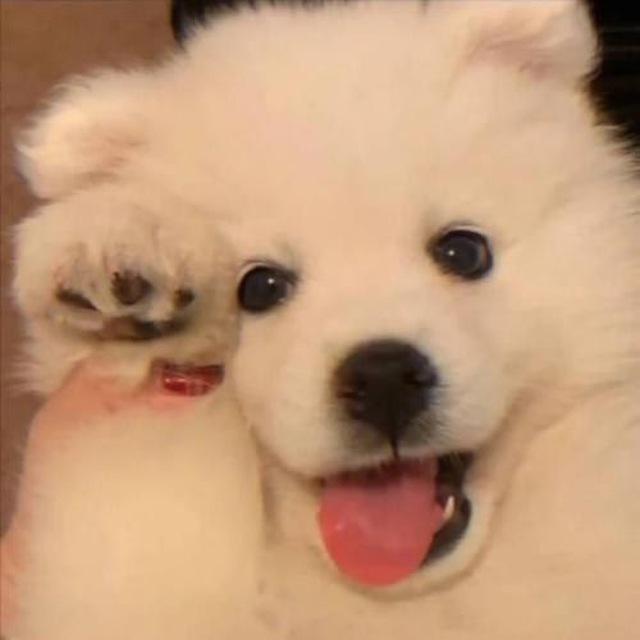 ⅉ𝕪 小红书任务群